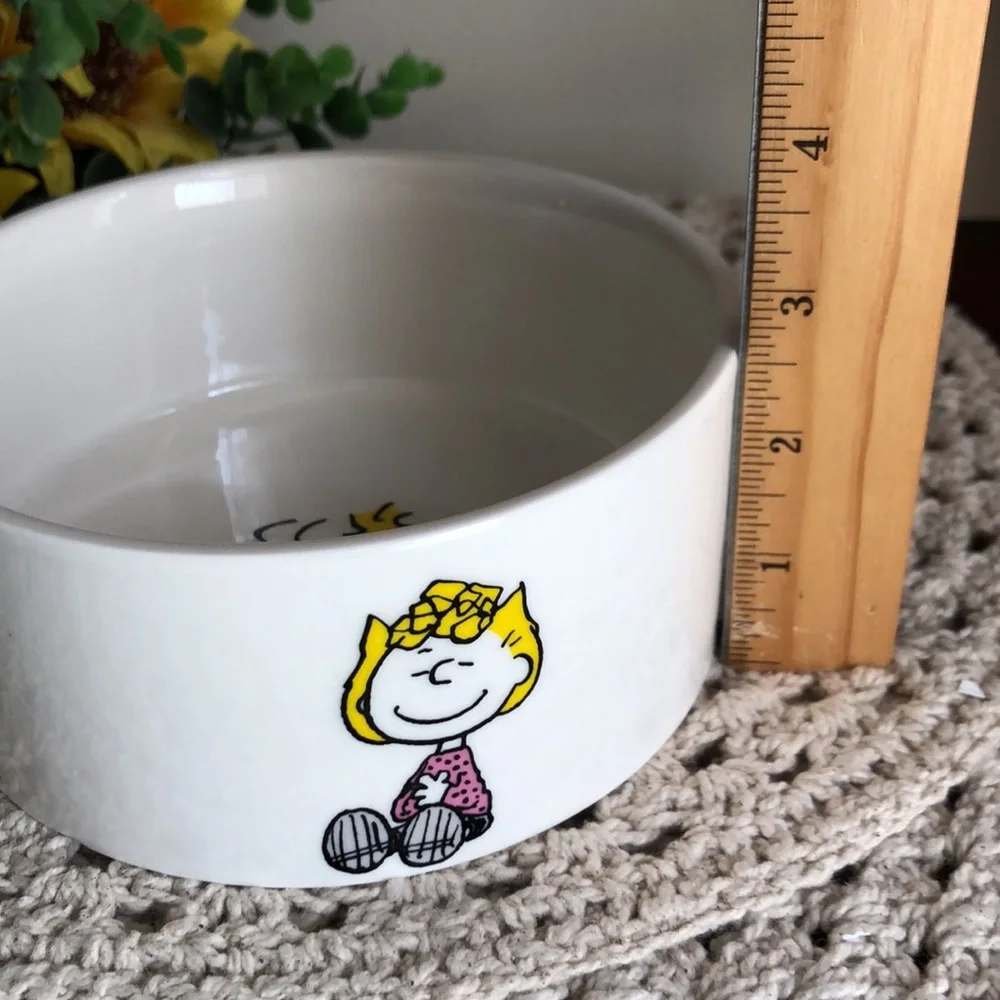 Peanuts Character Ceramic PET Bowl